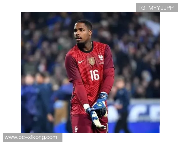 米兰为门将迈尼昂提供税后年薪700万欧的顶薪合同至2030年 米兰为门将迈尼昂提供税后年薪700万欧的顶薪合同至2030年